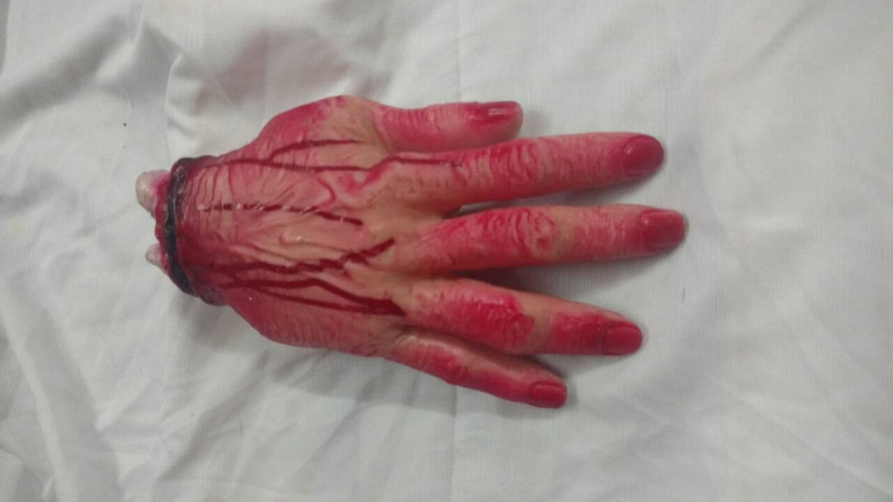 Kids Cut Hand Costume