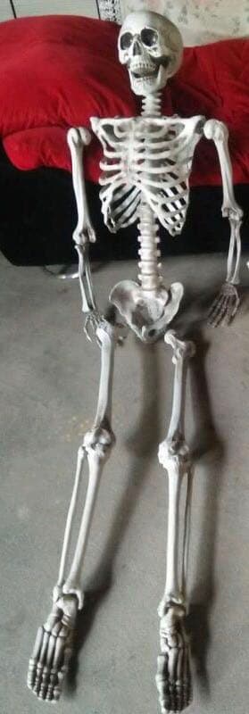Kids Skeleton 5ft Costume