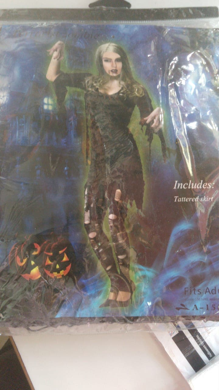 Wicked Witch Oz - Adults Costume