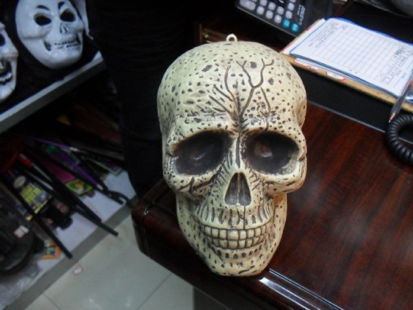 HA20 Skull Decor
