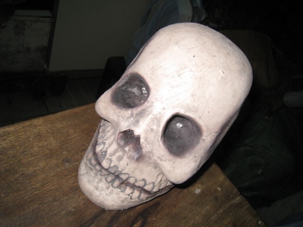 Skull Decor