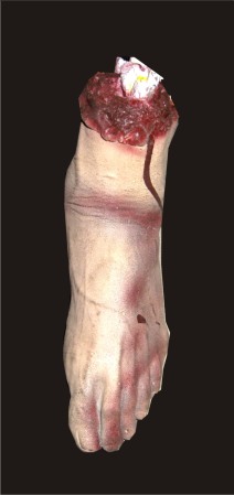 Leg Decor