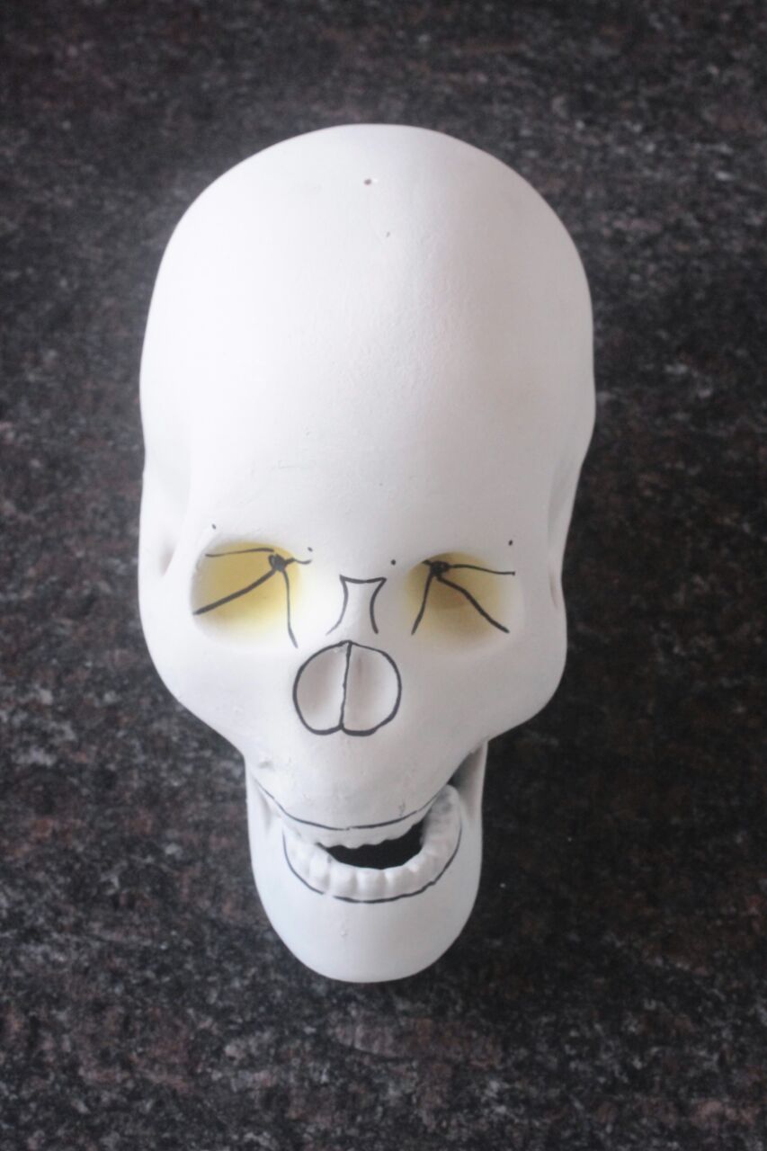 HA91 Skull Head